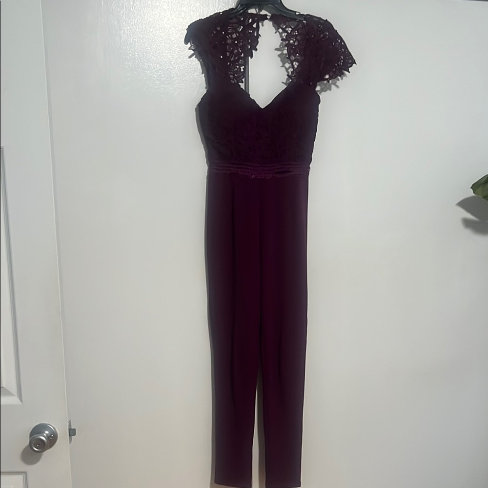 Fashion Nova Purple Velvet Jumpsuit with Lace Sleeves